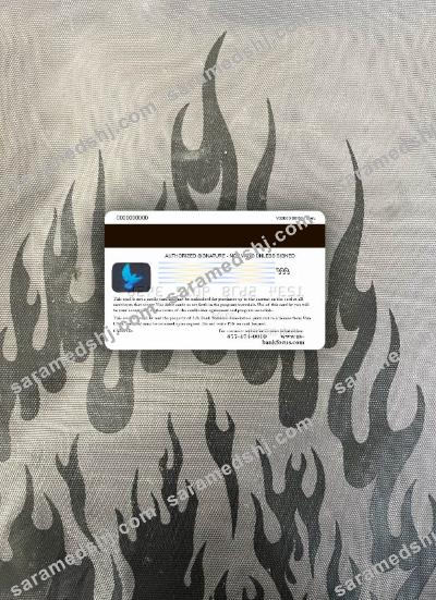 USA U.S. Bank visa card platinum photolook back